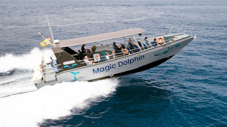 Jandia Two-Hour Dolphin-Watching Cruise