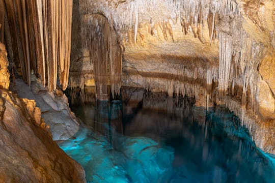 Cova dels Coloms Sea Caves Guided Tour with Eco Island Adventure