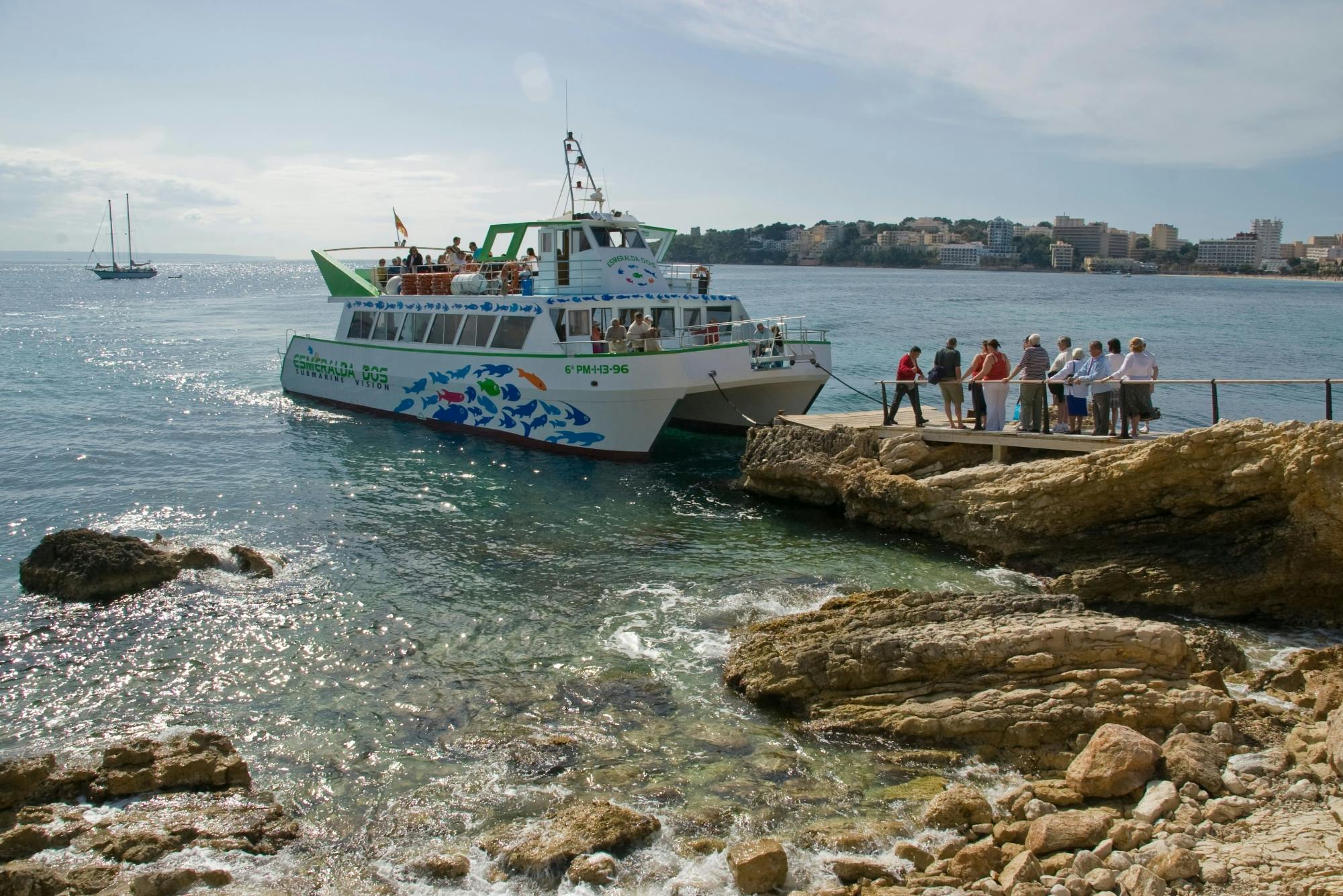 Two-hour Dolphin Spotting Catamaran Cruise Ticket with Cruceros Costa Calvia