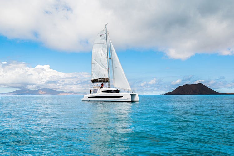 Luxury Oby Catamaran Cruise from Corralejo