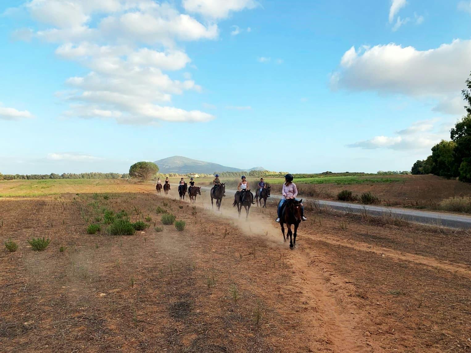 Horse Riding