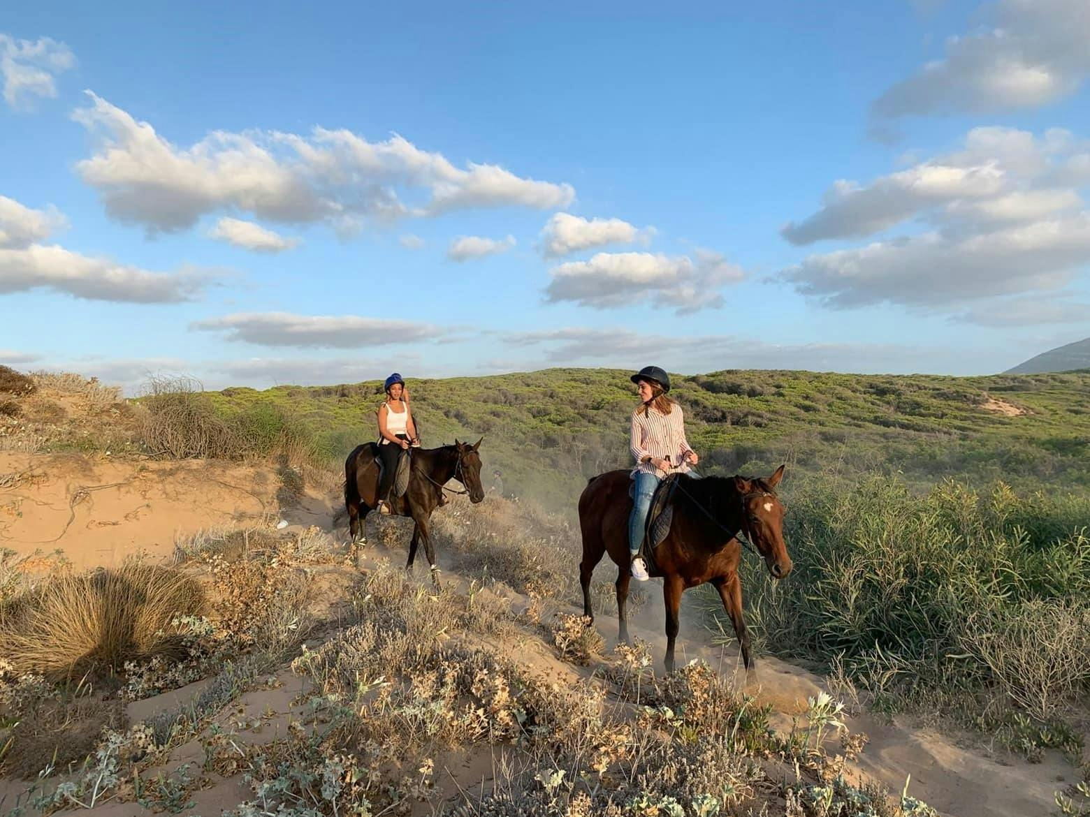 Horse Riding