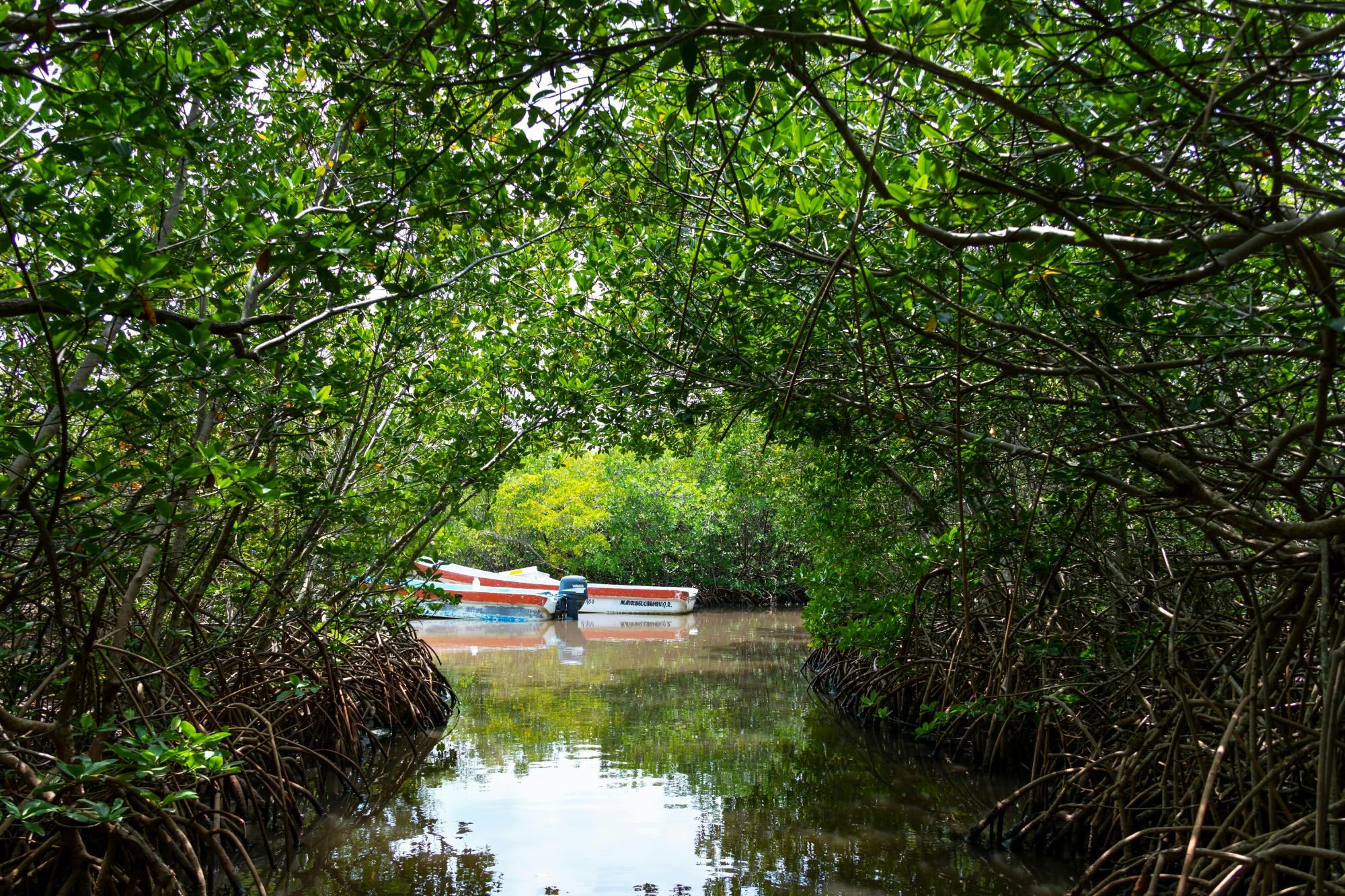 Sian Ka’an Reserve Tour with Boat Trip