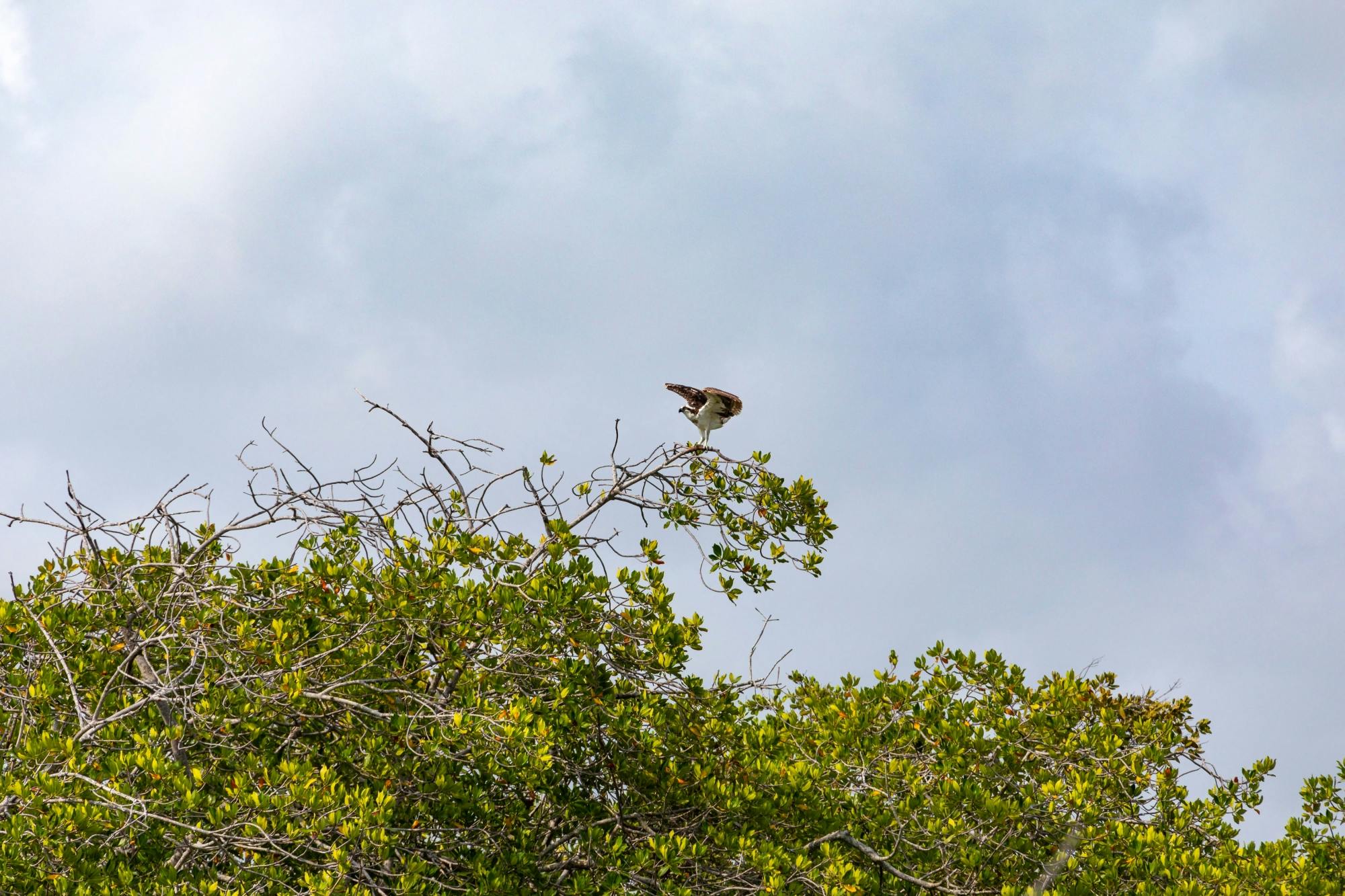 Sian Ka’an Reserve Tour with Boat Trip