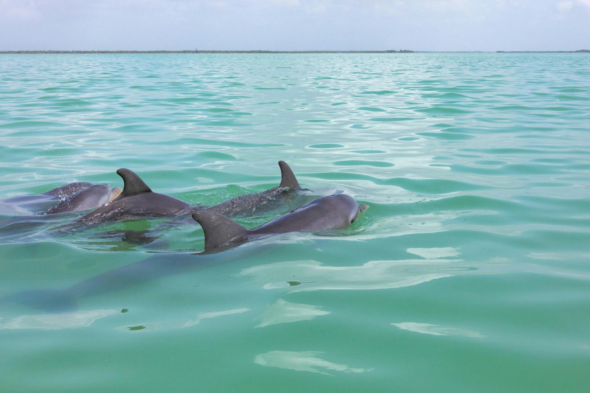 Sian Ka’an Reserve Tour with Boat Trip