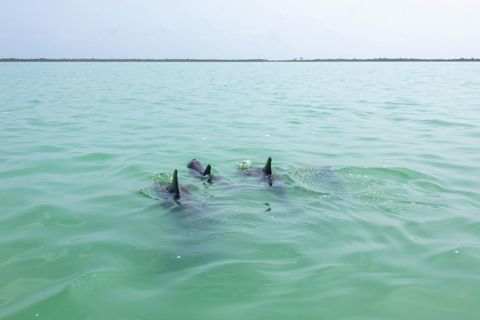 Sian Ka’an Reserve Tour with Boat Trip