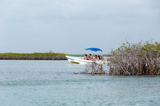 Sian Ka’an Reserve Tour with Boat Trip