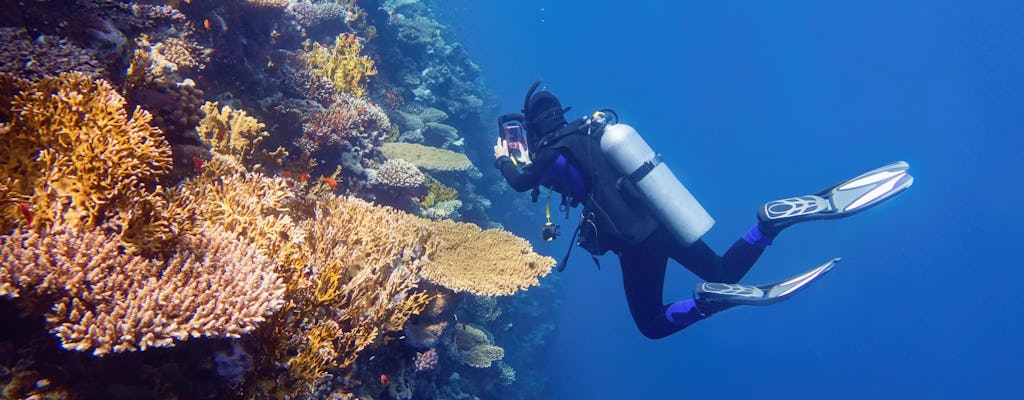 Scuba Plus Diving Ticket