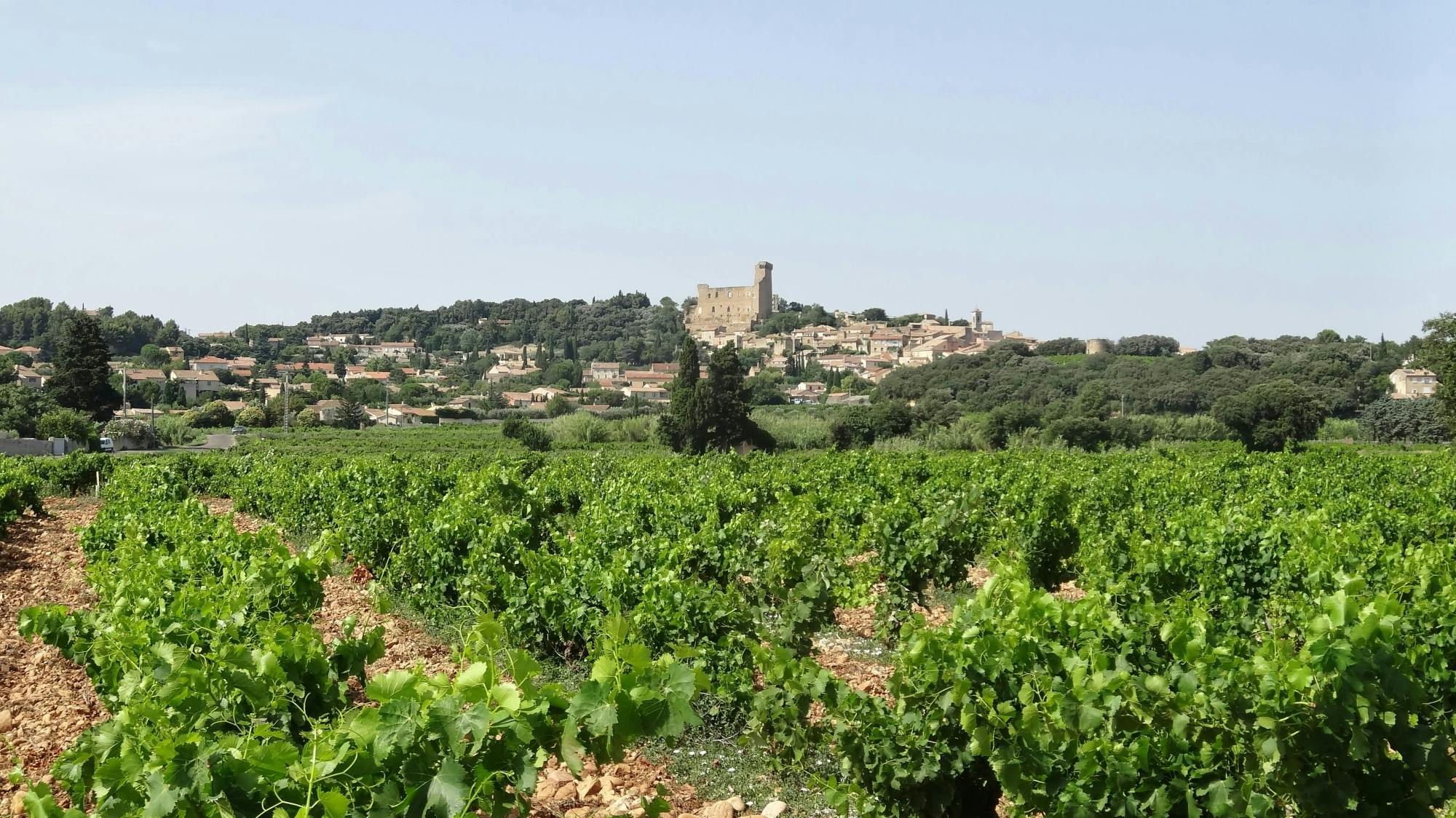 Tour of Orange and wine-tasting at Chateauneuf-du-Pape-4