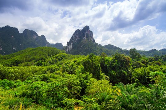 Khao Sok Jungle Expedition with Bamboo Rafting and Thai Dinner