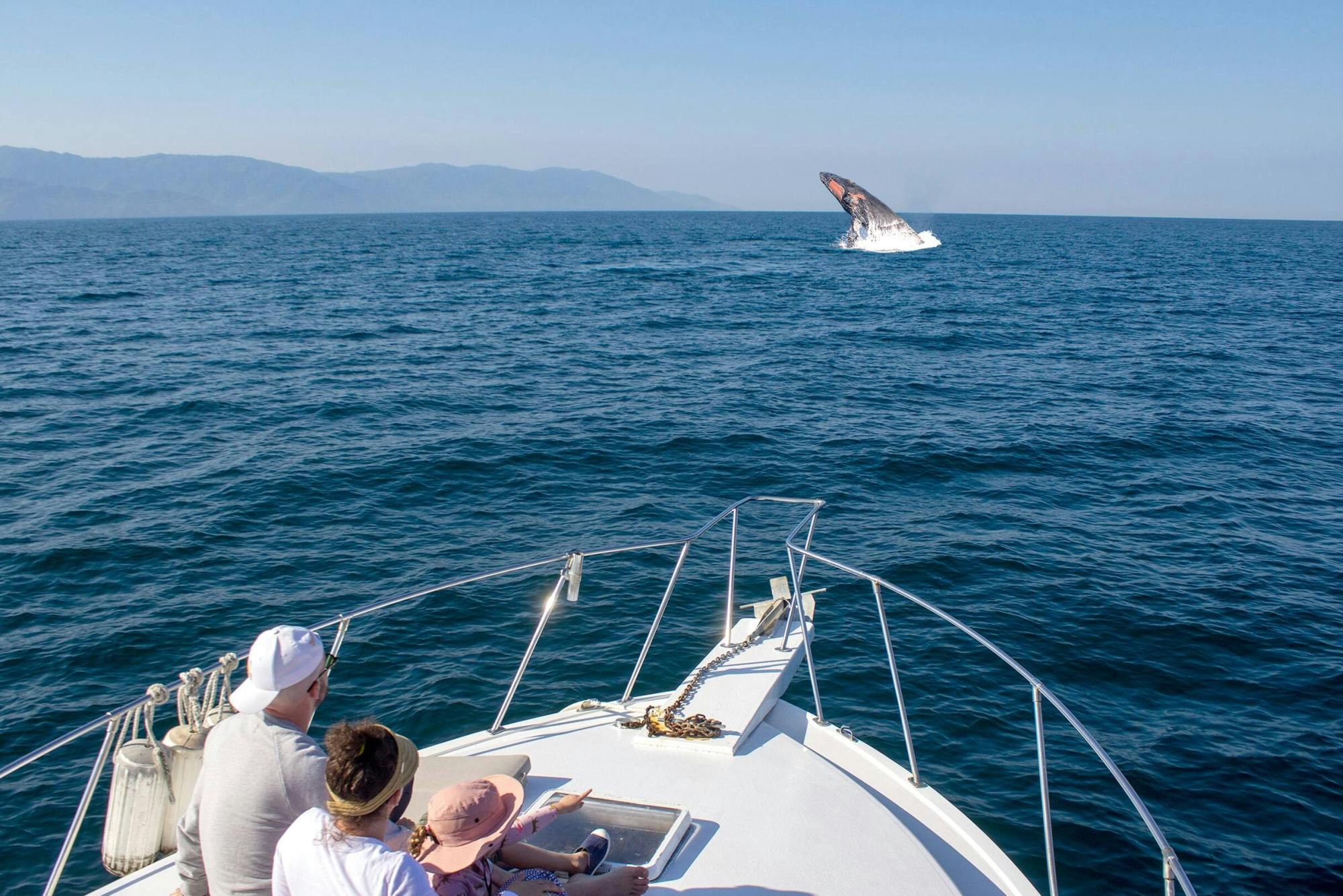 Puerto Vallarta Whale Watching Catamaran Tour