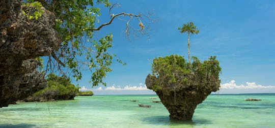 Tour Privado à Ilha Uzi saindo do Mora Zanzibar