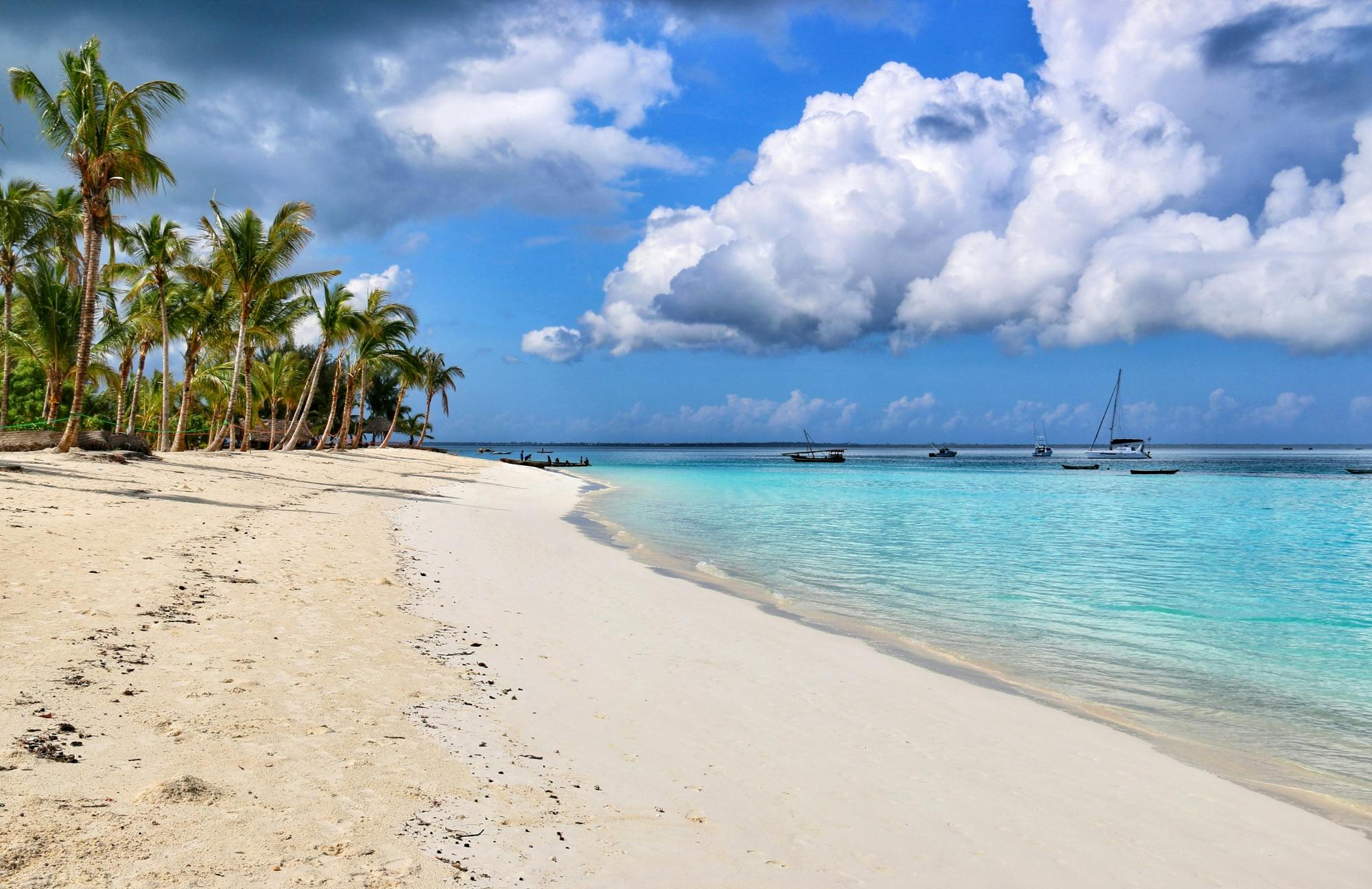 Tour Privado à Ilha Uzi e Vila Muyuni saindo do Mora Zanzibar