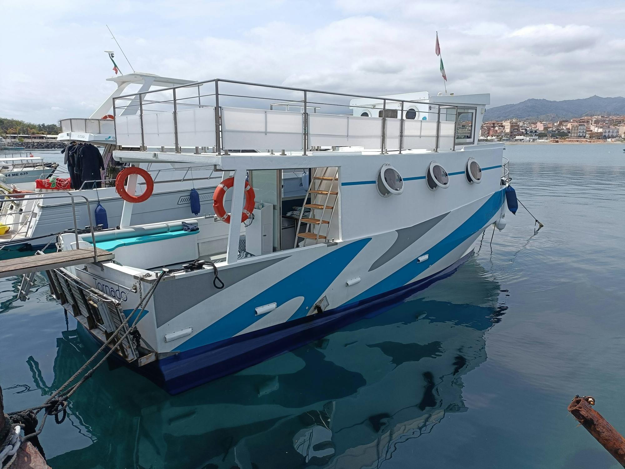 Dolphin Watching Cruise