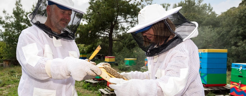 Nat Geo Day Tour: The Fascinating World of Bees