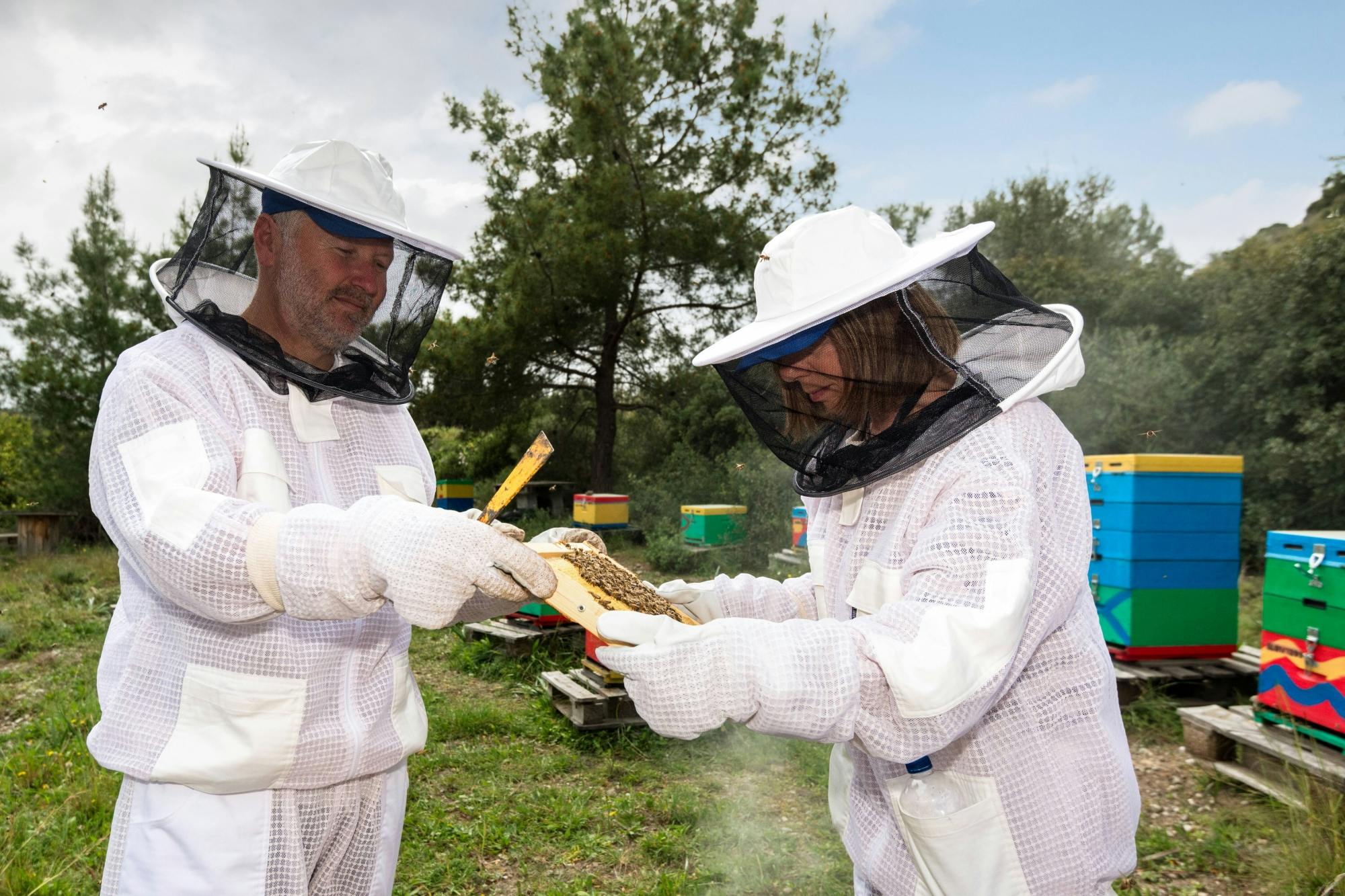 Nat Geo Day Tour : Le monde fascinant des abeilles