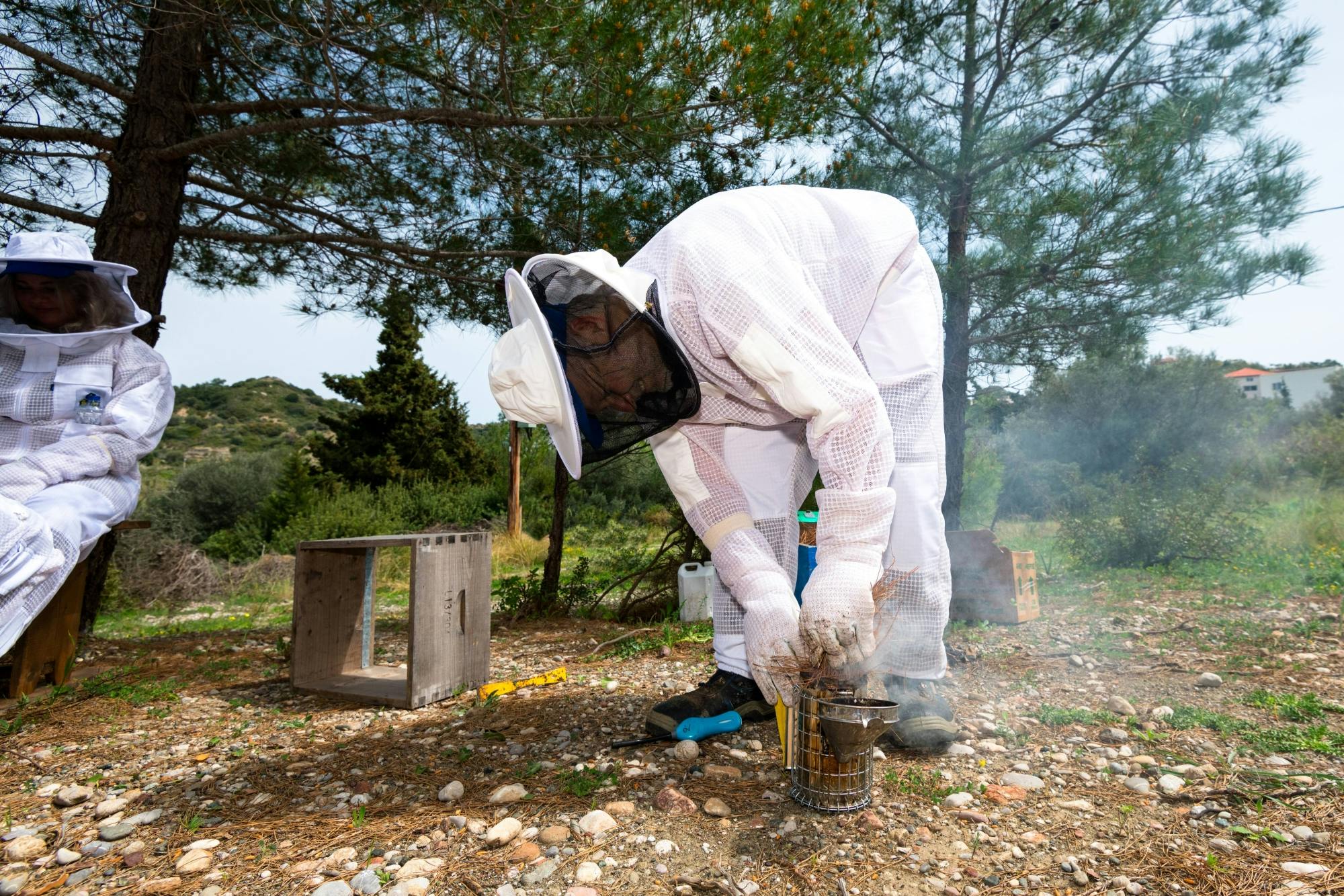 Nat Geo Day Tour: The Fascinating World of Bees