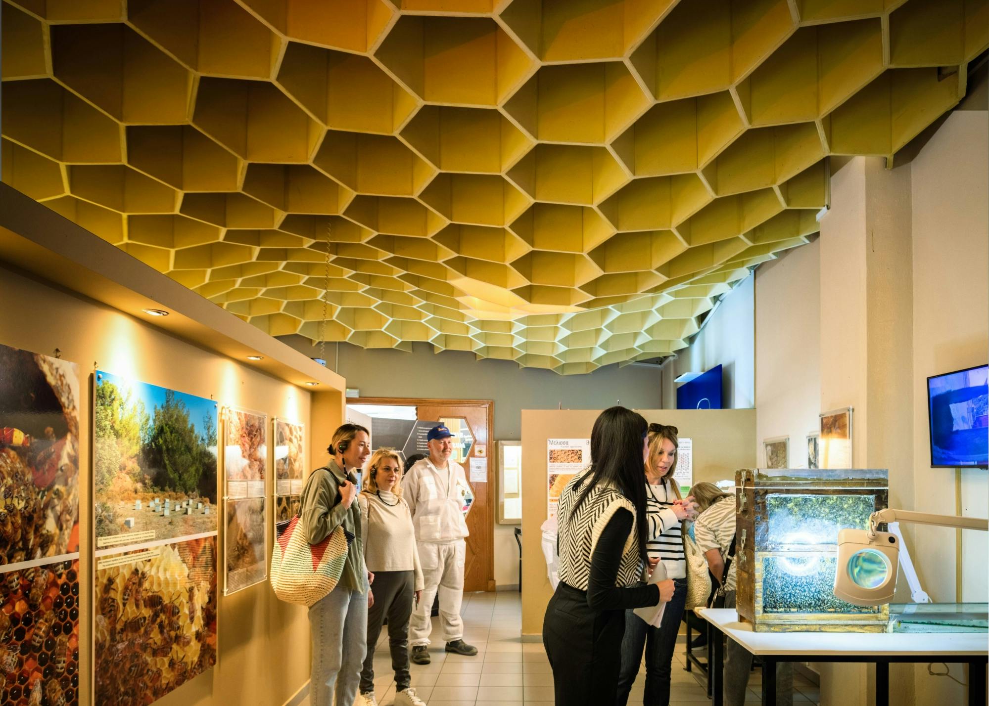 Nat Geo Day Tour: The Fascinating World of Bees