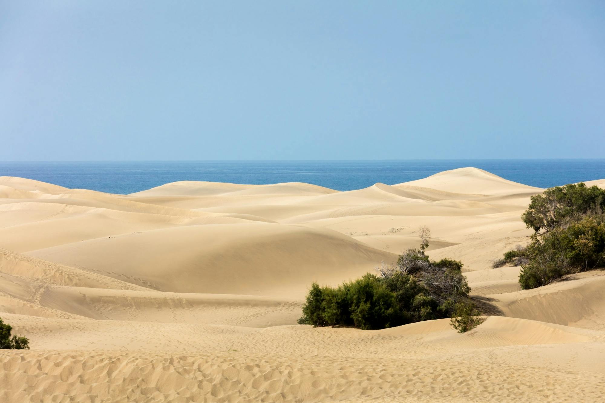 TukTuk Sightseeing Tour of Maspalomas