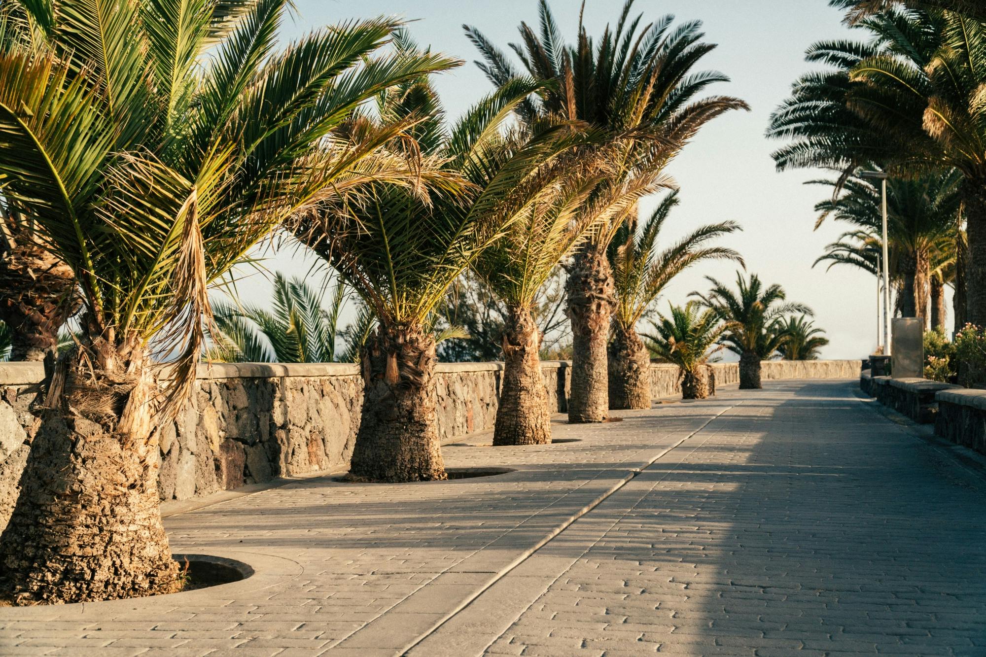 TukTuk Sightseeing Tour of Maspalomas