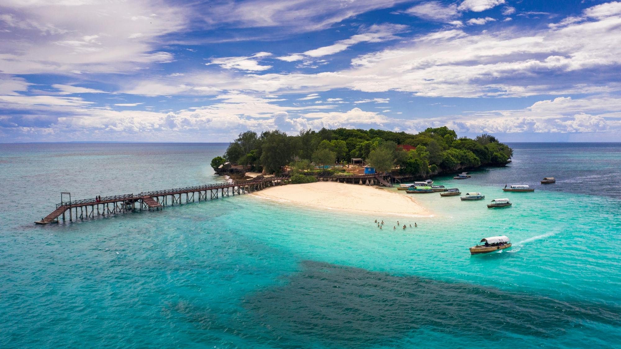 Tour Privado para a Floresta Jozani e Ilha Prisão saindo do The Mora Zanzibar