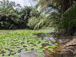 Trekking a Zanzibar (città)