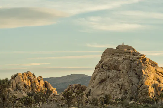 Joshua Tree's Hidden Valley self-guided walking audio tour