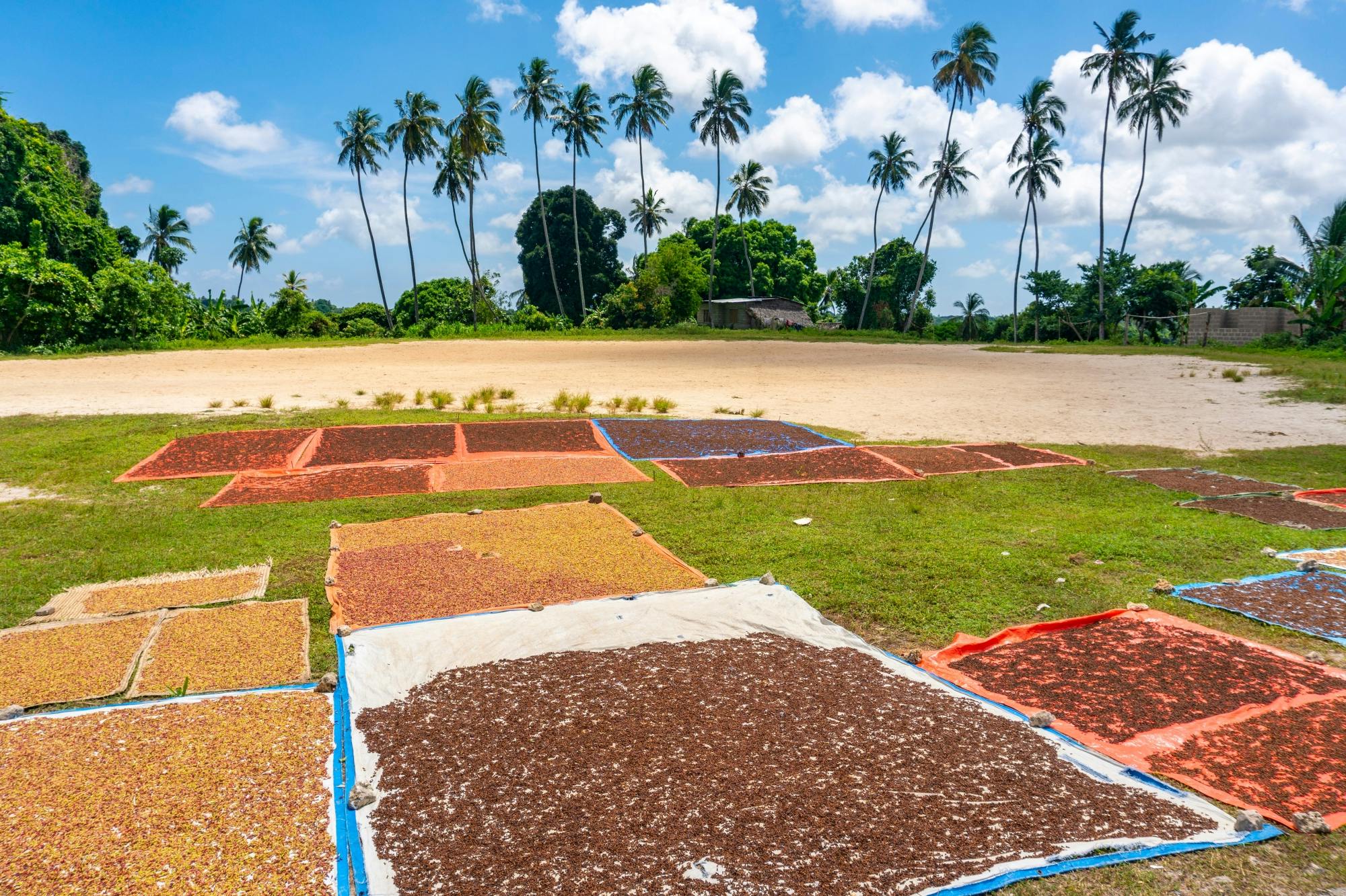 Visite privée de la plantation d'épices et de l'île de la prison depuis le Mora Zanzibar