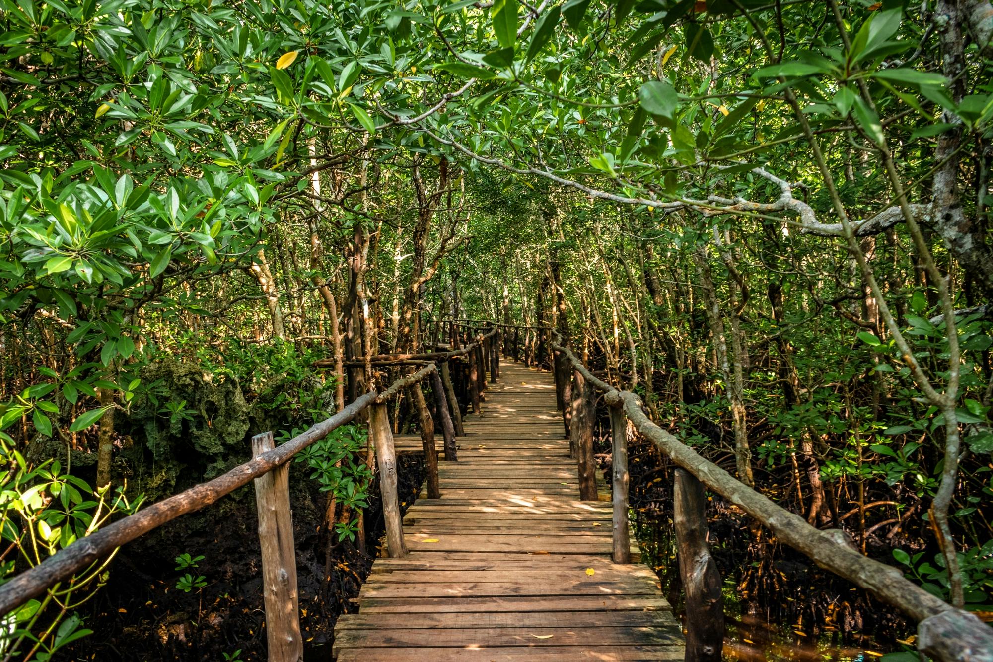 Privétour naar Spice Plantation en Jozani Forest vanuit The Mora Zanzibar