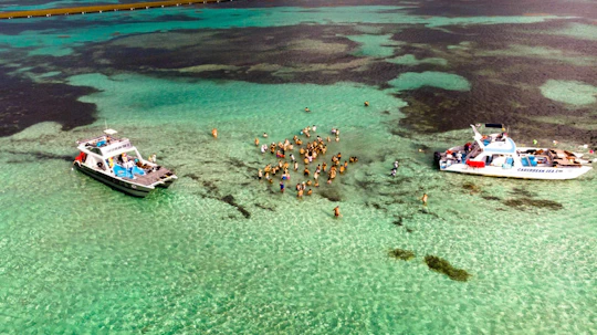 Wildon Caribbean Sea Sailing Trip