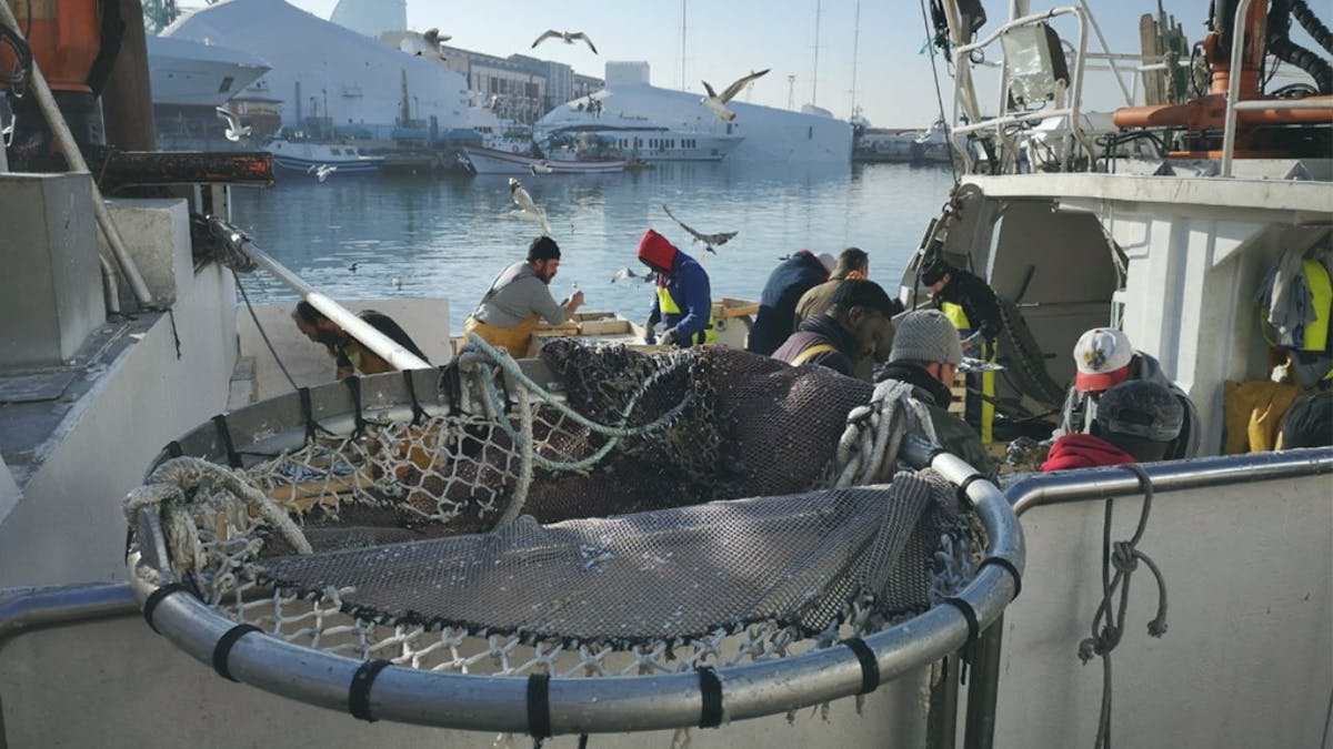 Fishermen's Guild Guided Tour in Barcelona