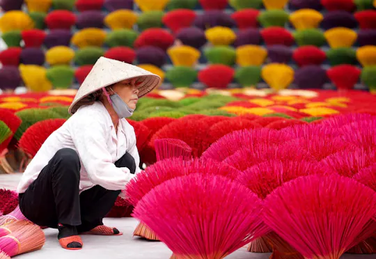 Quang Phu Cau Incense Village and Ninh Binh Tour with Lunch