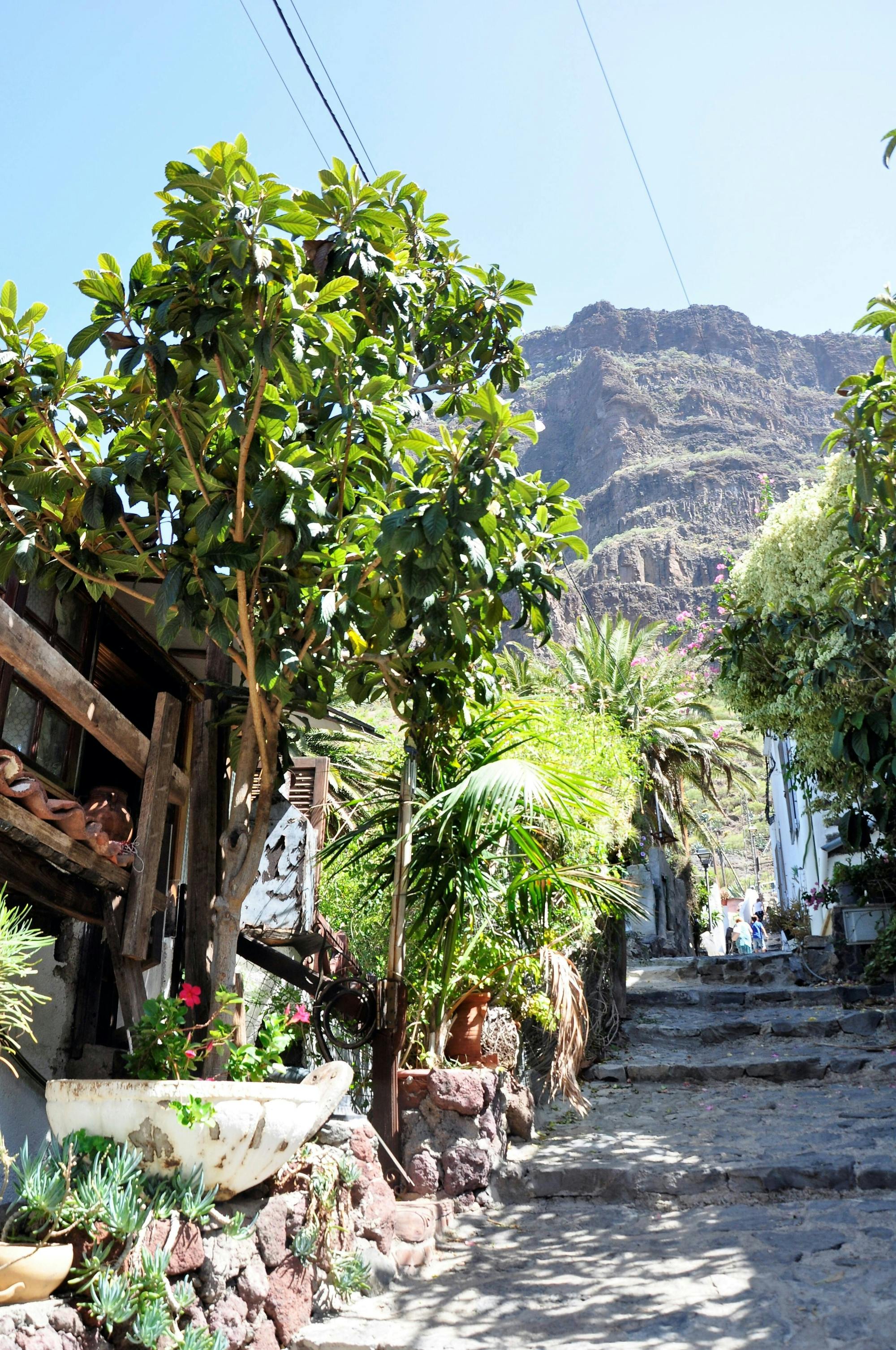 Masca, Teno and Rural Tenerife Tour