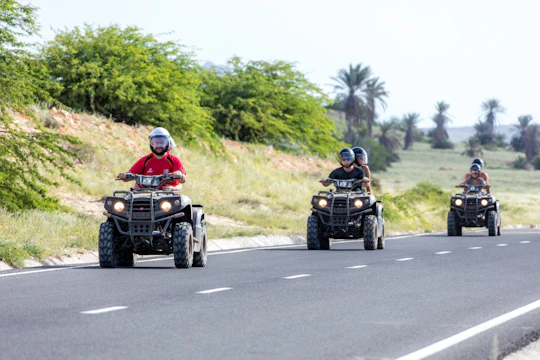 Rhodes quad safari from Kiotari ticket