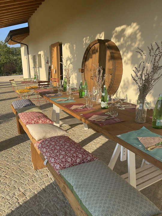 Wine & Taste On Lake Garda: Organic farm, Local Product And Amazing Sunsets