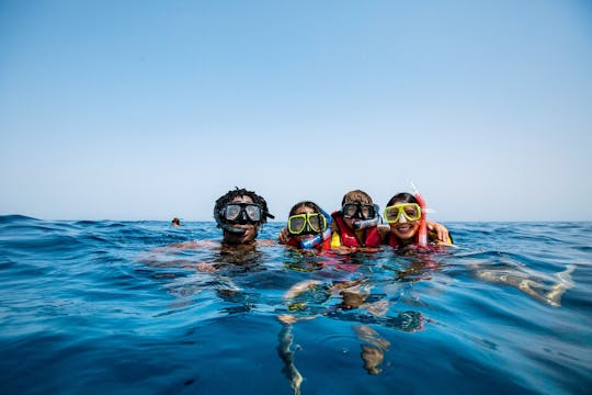 Tiran eiland snorkel boottocht vanuit Sharm El Sheikh met BBQ