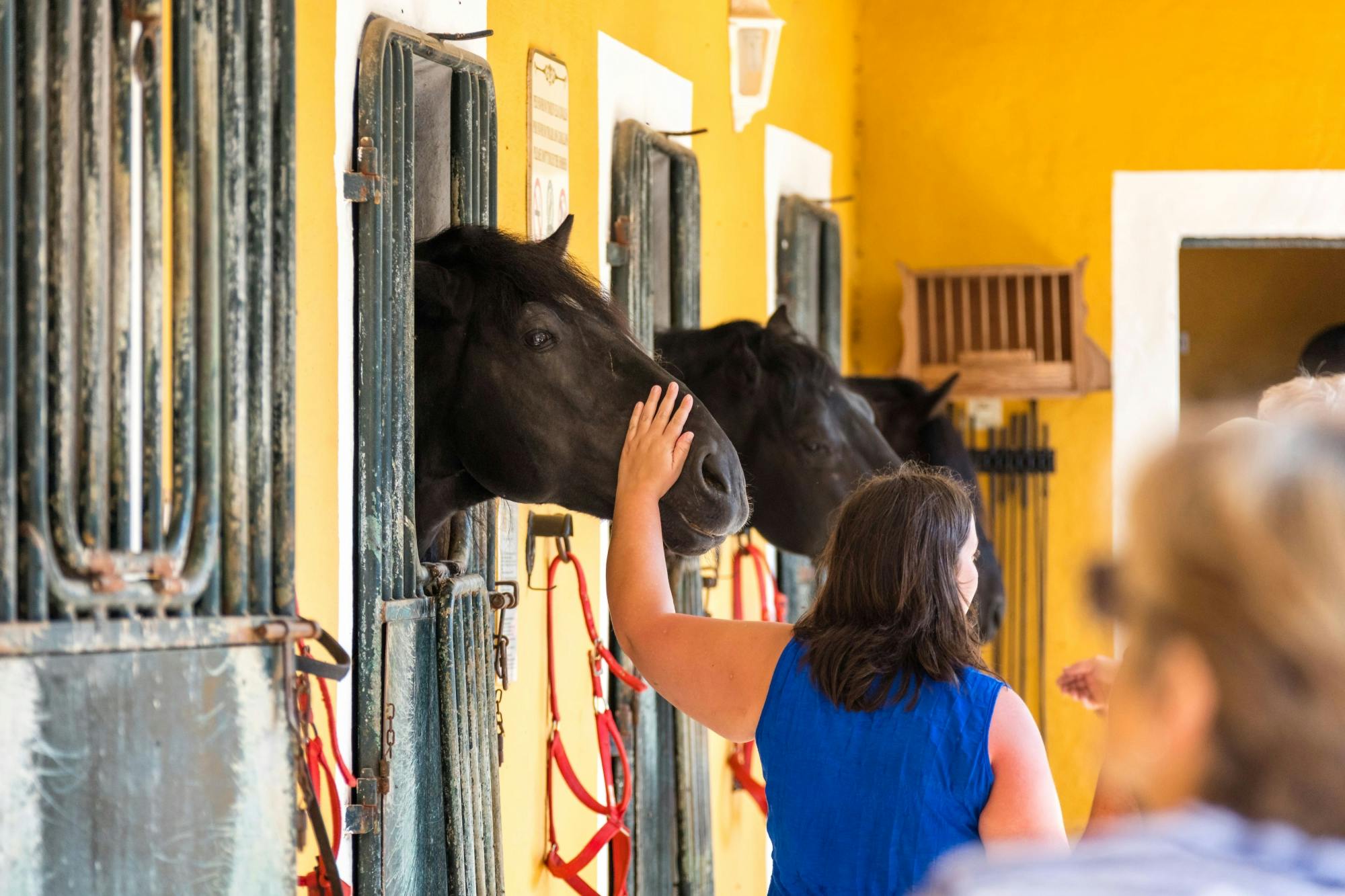 Tour of Rural Menorca with Dressage Show