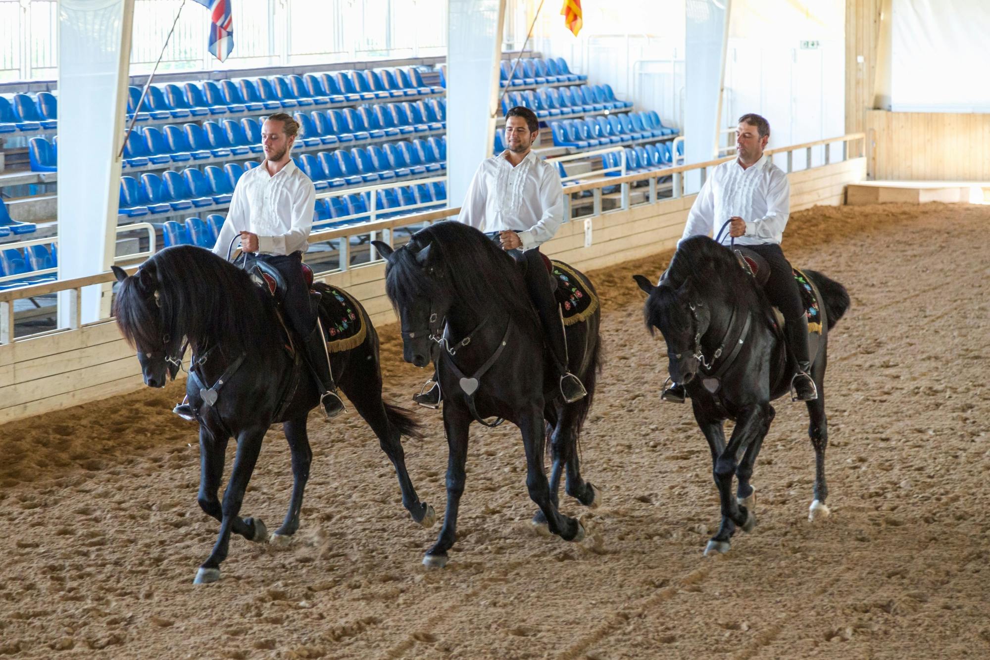 Tour of Rural Menorca with Dressage Show