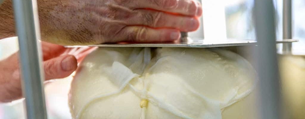 Billet pour la fromagerie Subaida