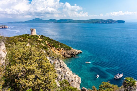 Excursión de día completo en catamarán al parque natural de Porto Conte desde Alghero