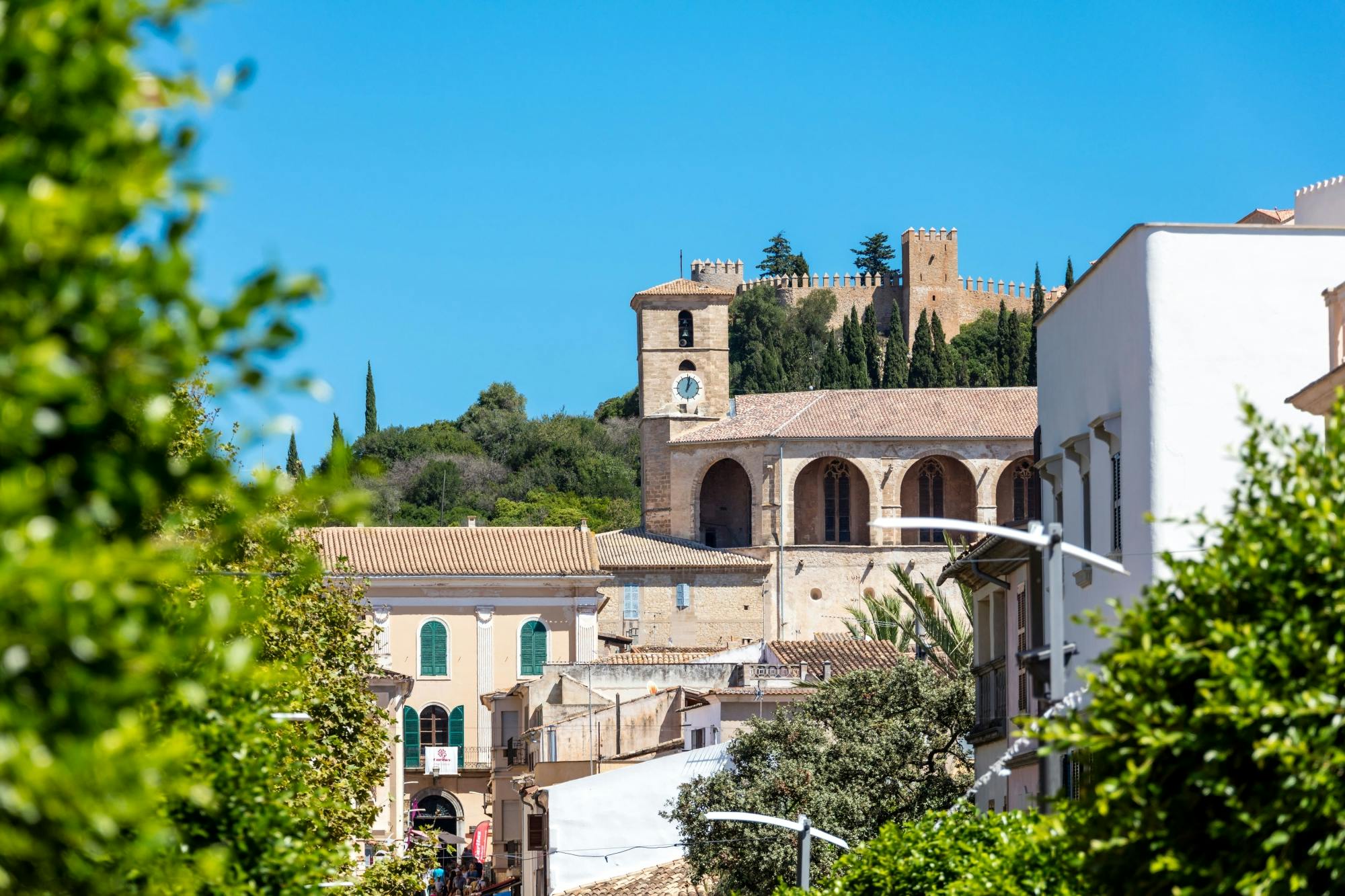 Eastern Majorca Tour with Arta Caves and Aloe Plantation