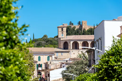 Eastern Majorca Tour with Arta Caves and Aloe Plantation