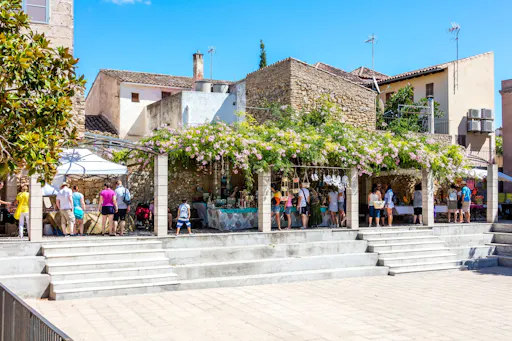 Eastern Majorca Tour with Arta Caves and Aloe Plantation