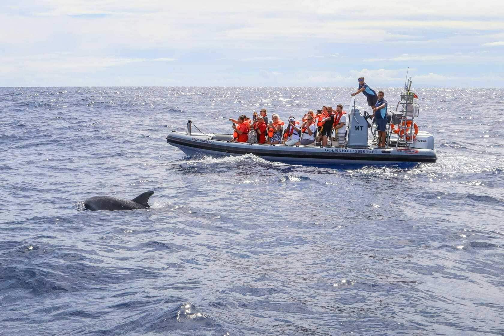 Porto Santo RIB Speedboat Experience