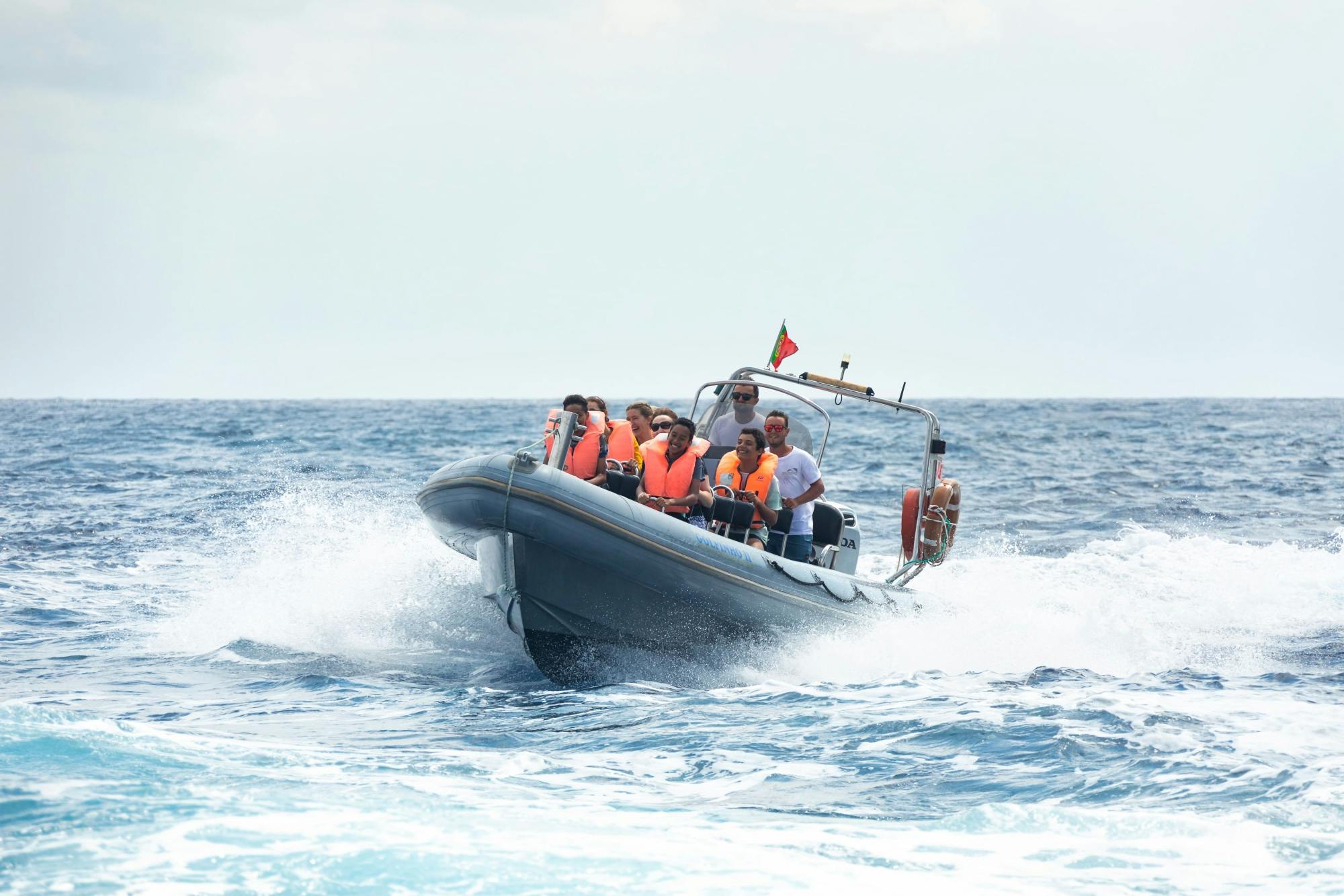 Porto Santo RIB Speedboat Experience