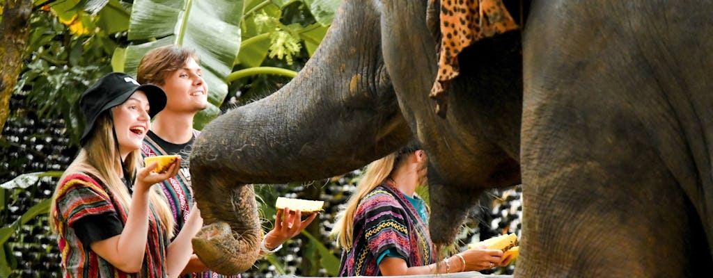 Elefantenfütterung im Elefanten-Dschungel-Schutzgebiet von Phuket aus
