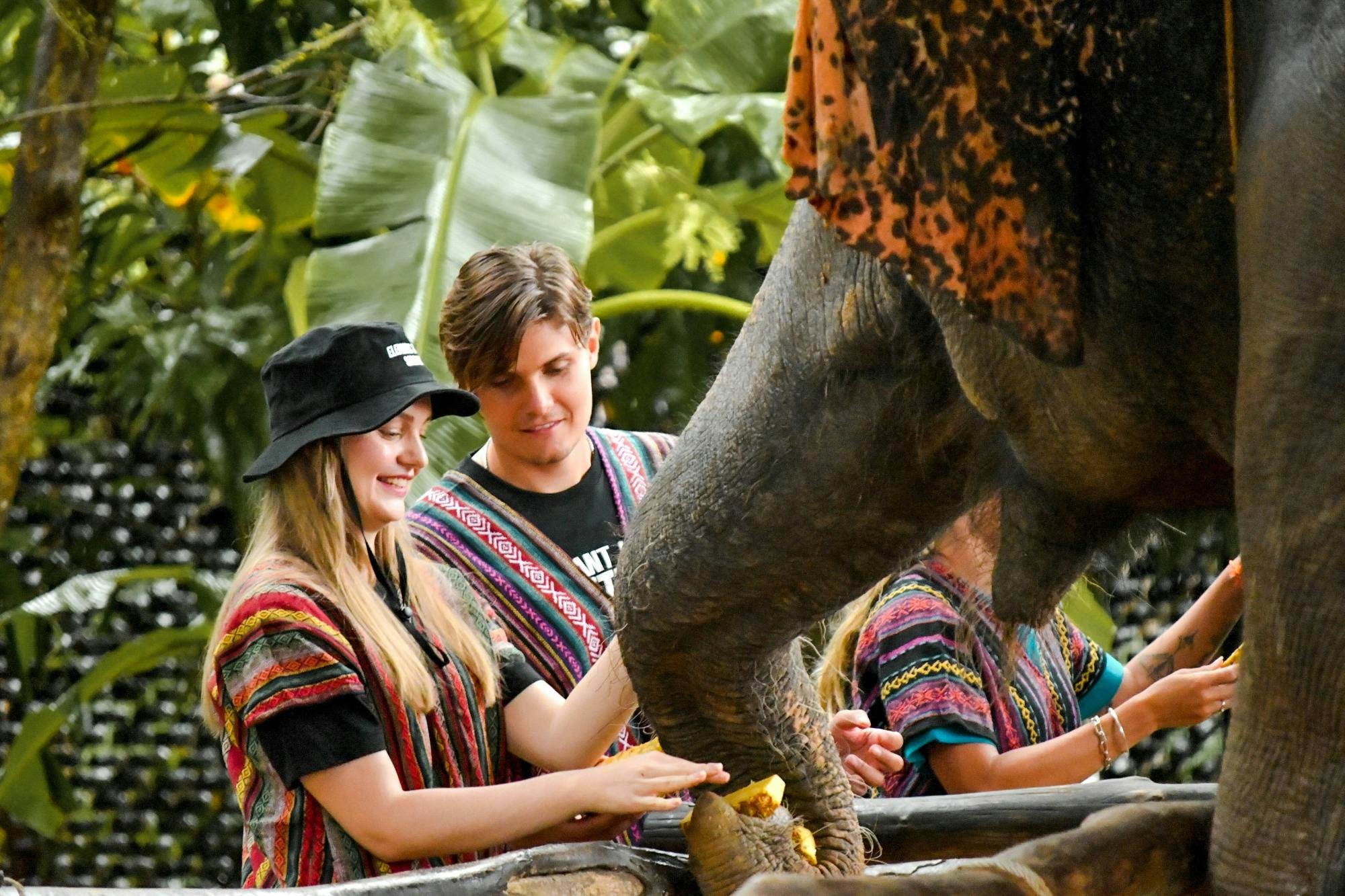 Esperienza di due ore con gli elefanti all'Elephant Jungle Park