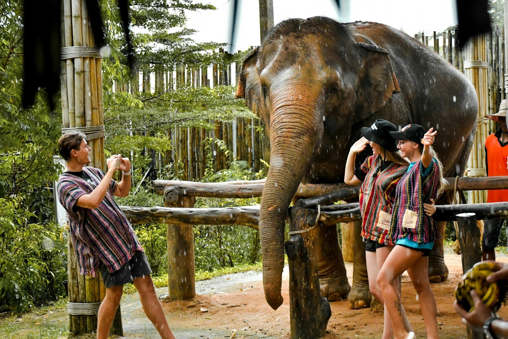 Half-Day Elephant Jungle Sanctuary from Phuket