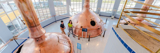 The Farsons Brewery Self-Guided Experience with Tasting