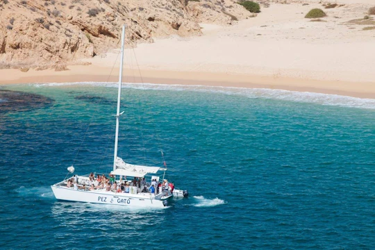 Pez Gato sunset party cruise from Cabo